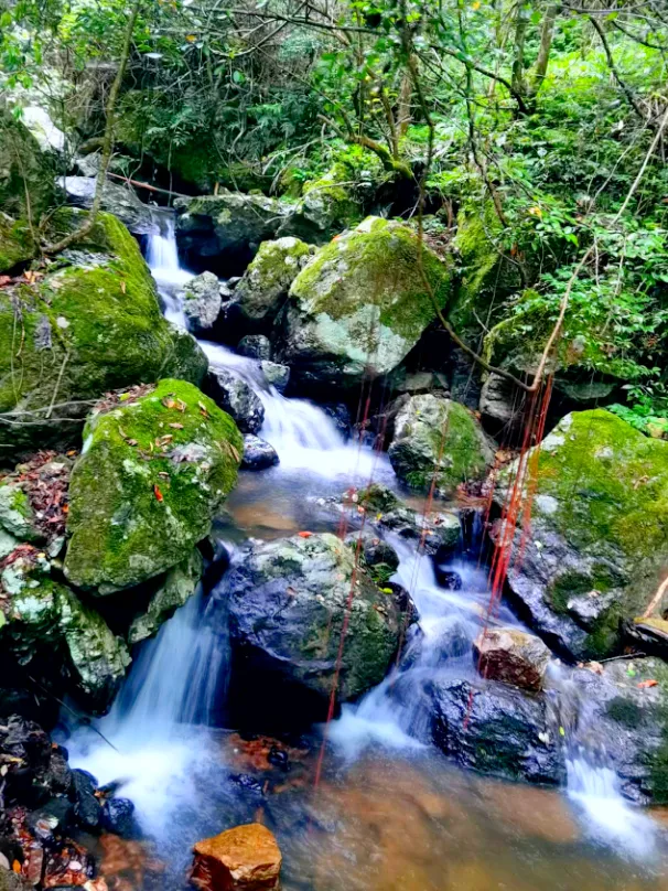 171aa662c04f5971ed75b5268d3c2066-sz_1186814