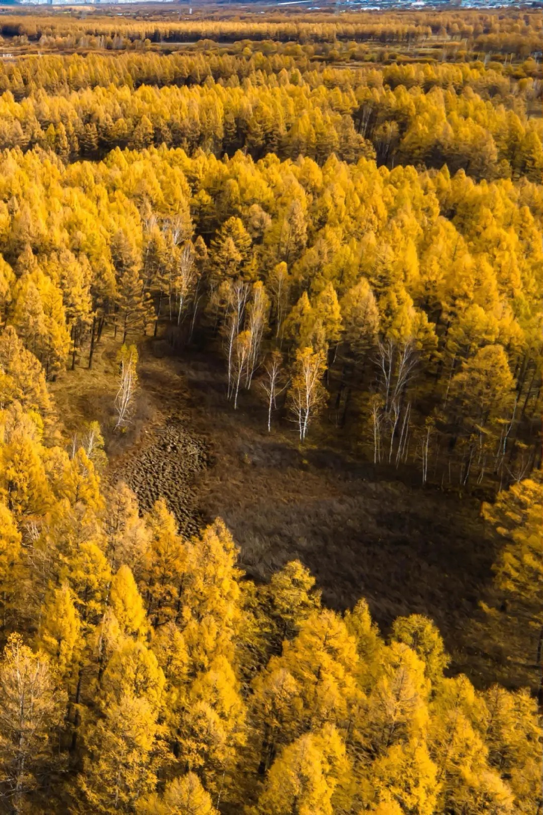 1770690153108_58NAMmfD