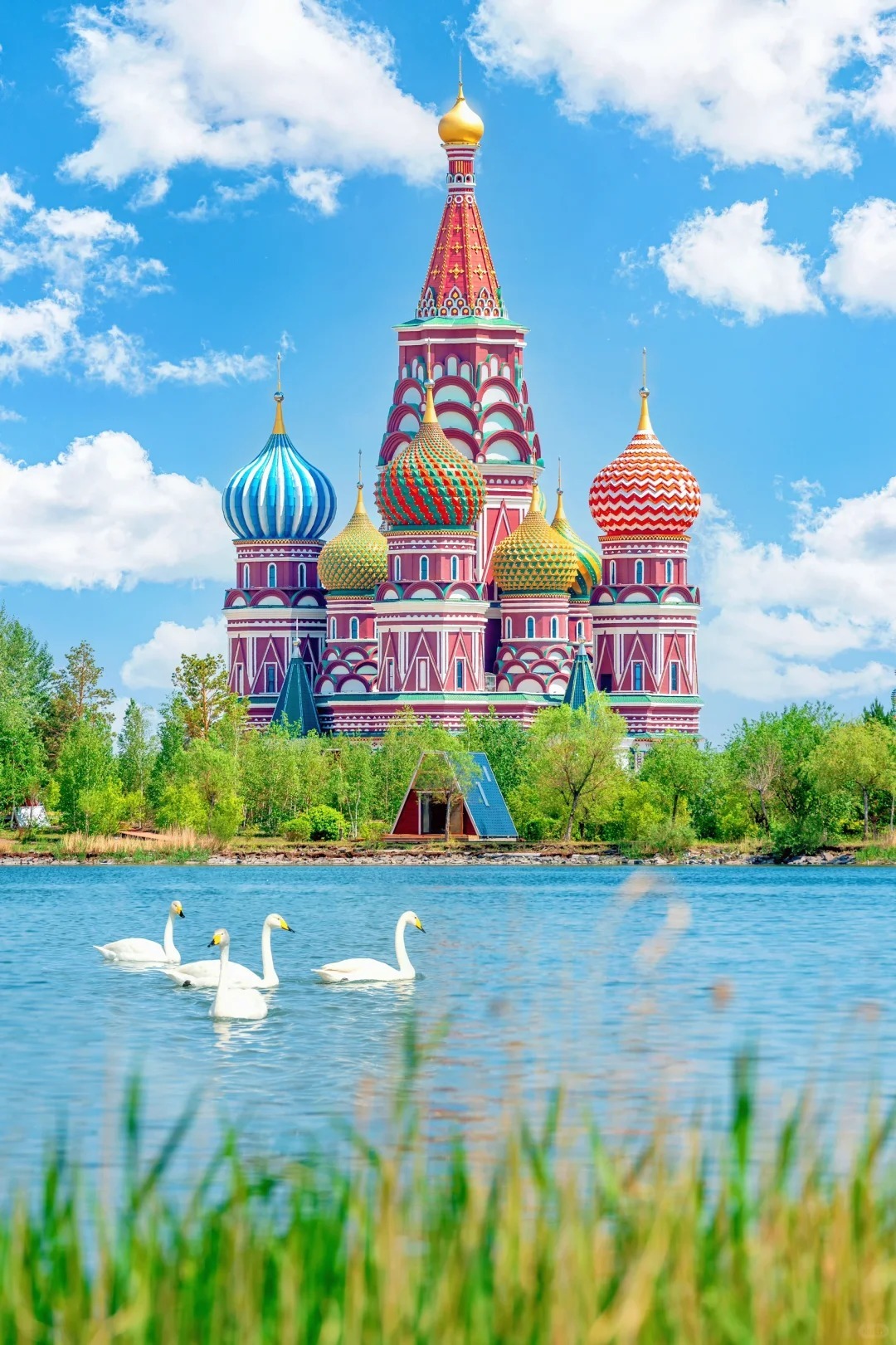 1770690153110_51c75i6T