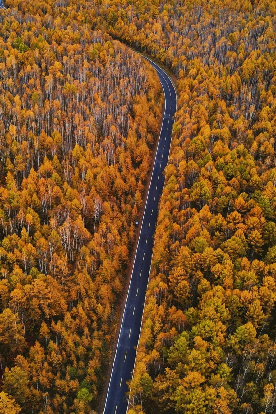 1770690153110_52YPYdXc