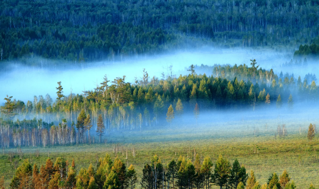 1770690153117_28SJ4hcr