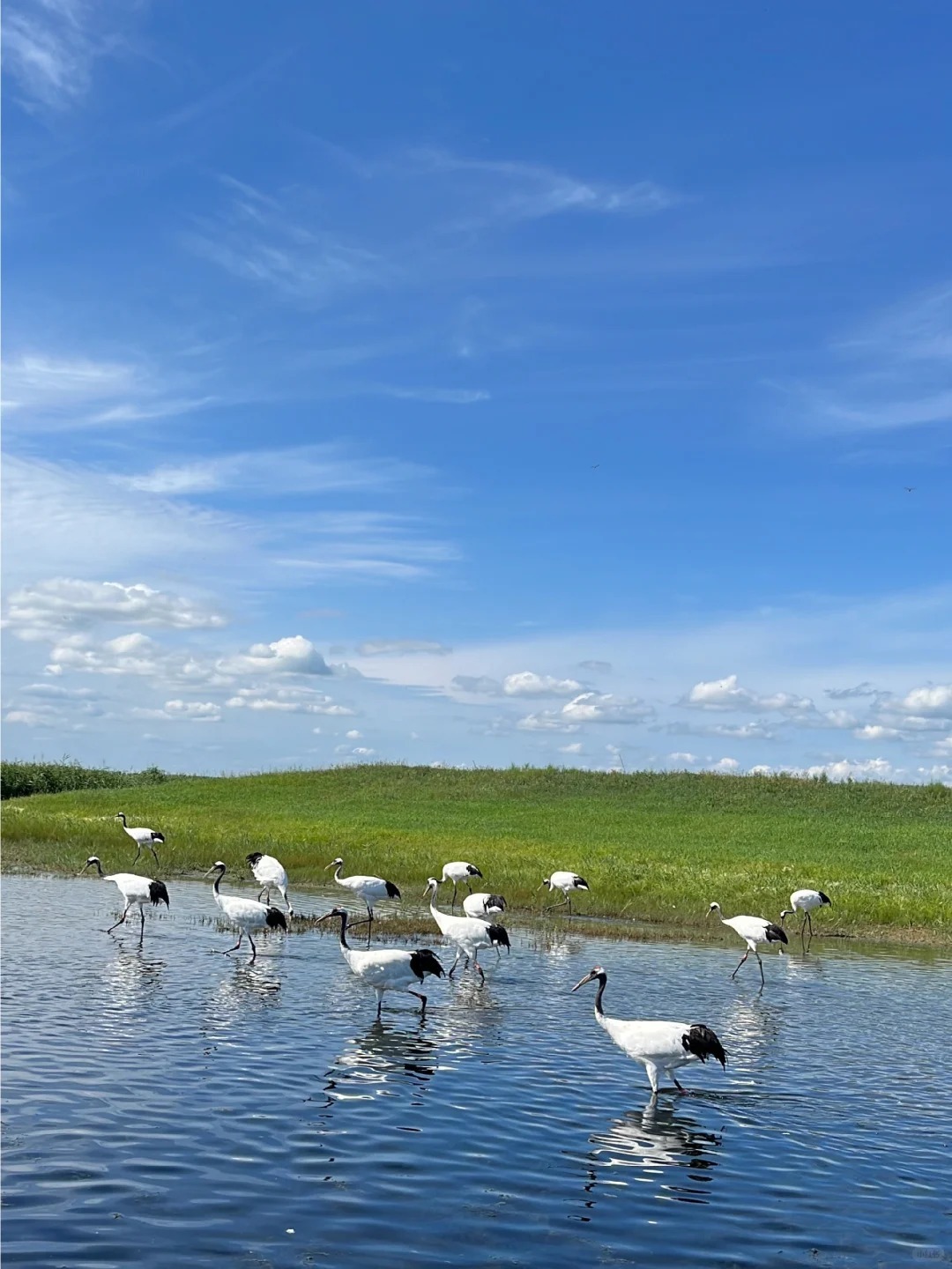 1770690153118_25mN4N5Q