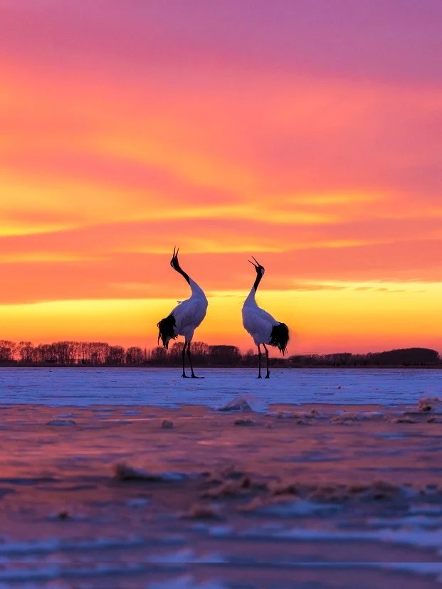 1770690153118_27wZx4GX