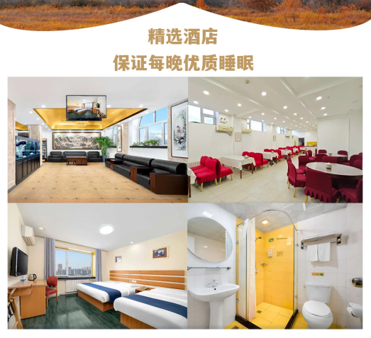 1770690153121_8cdBdFa