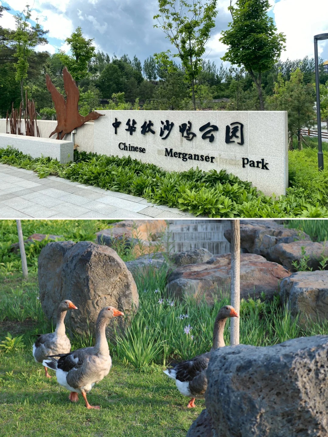 1770700571_2140885562