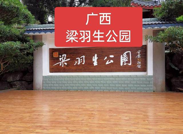 1772009492528MmNWmmn.jfif_