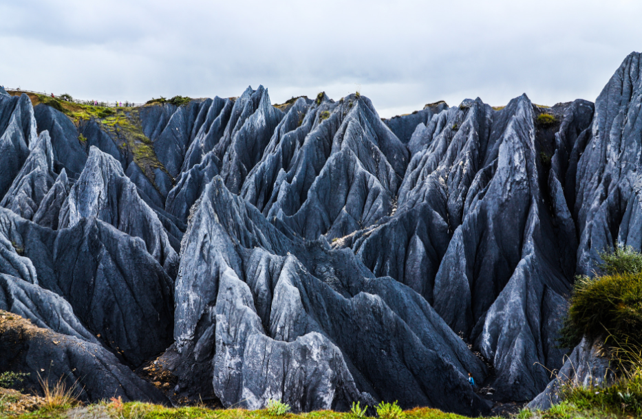 1772506589842_46bjrZRr