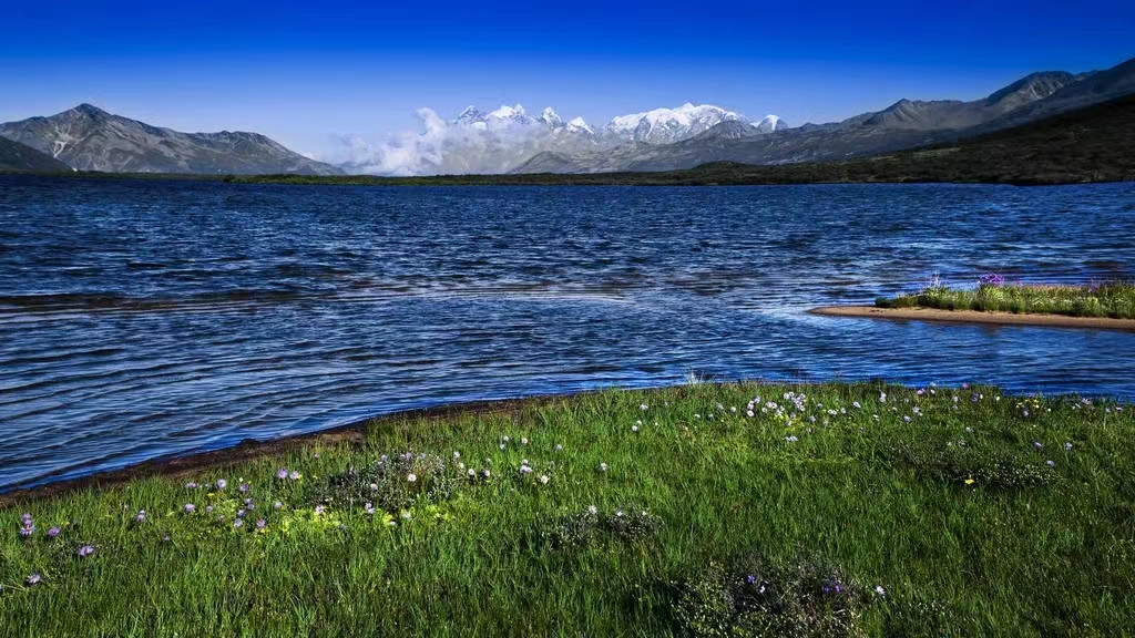 1772506589842_47m6psQb