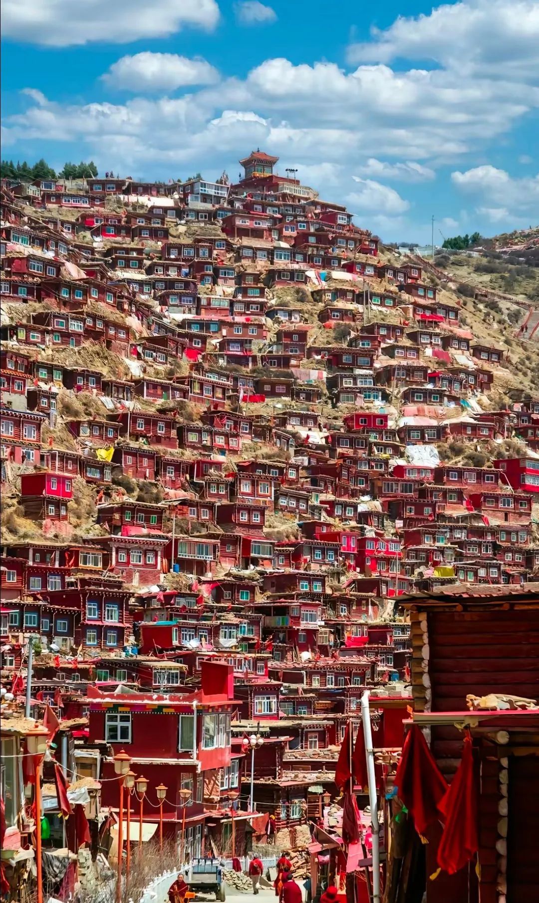 1772506589843_41RMfDS3