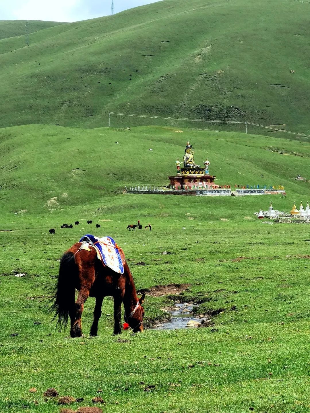 1772506589849_274bbEzW