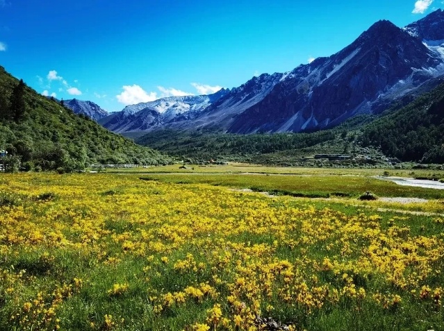 1772506589850_23Ykybbk