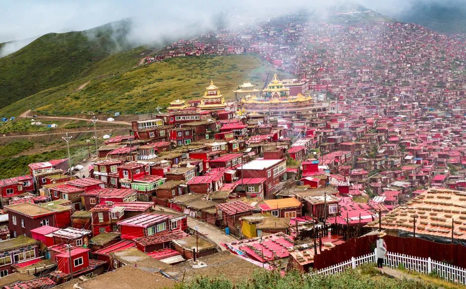 1772506589851_18wNefPQ