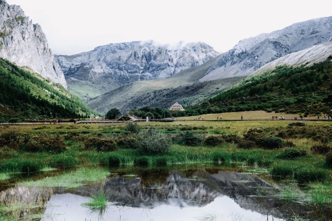 1772506589852_12dHm6zB