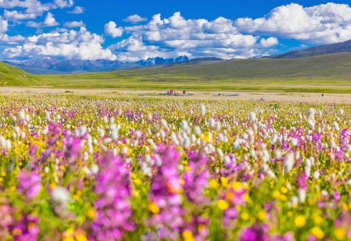 1772506589852_14ksYPke