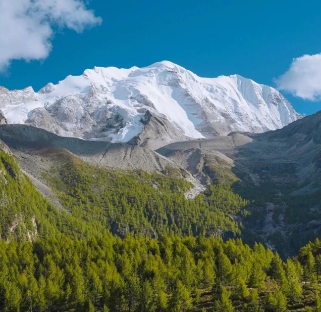 1772506589853_7AfFTMc