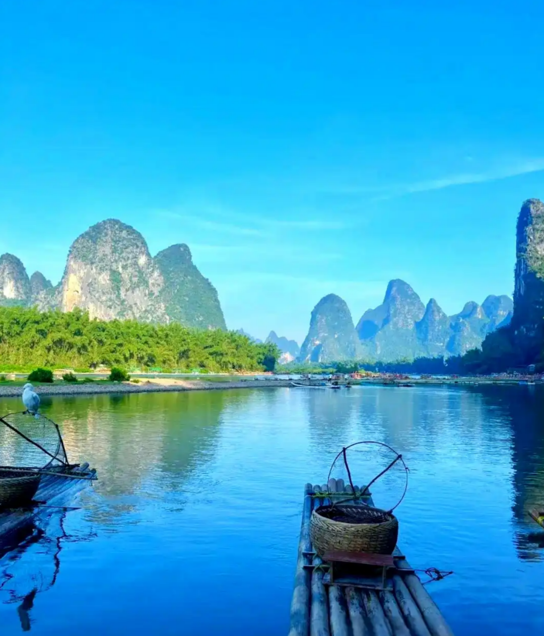 1772549778941_56SEfX3w