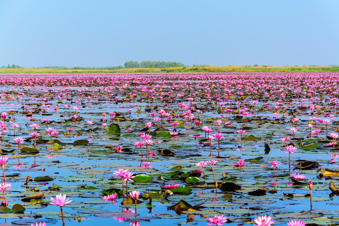 1772679695866_27MSR5fE