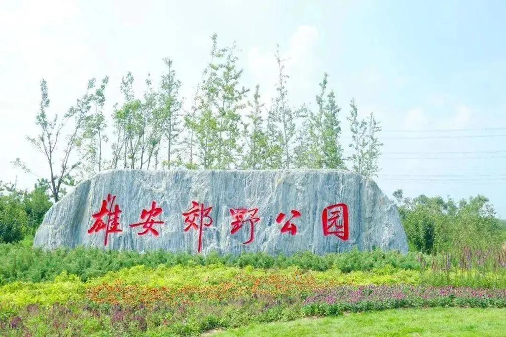 1772679695868_18bFReKB