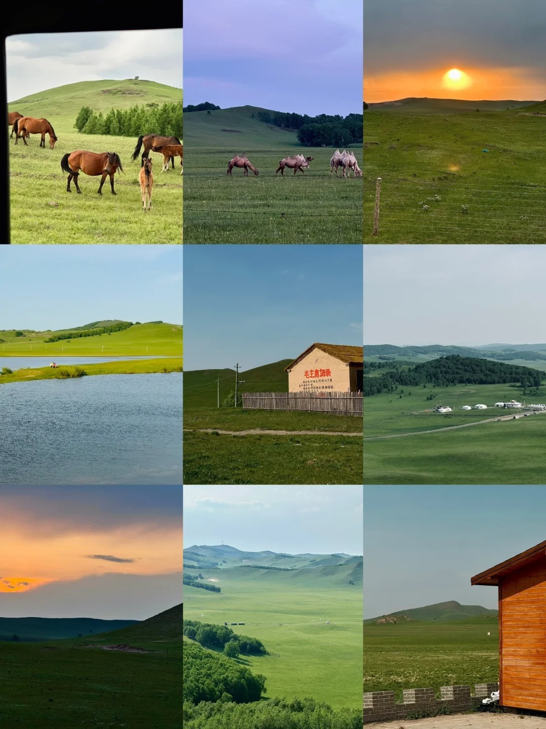 1772679695870_8MRZ4an