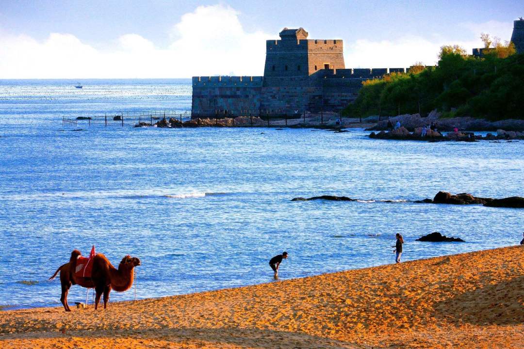 1772701861977_618CsApi