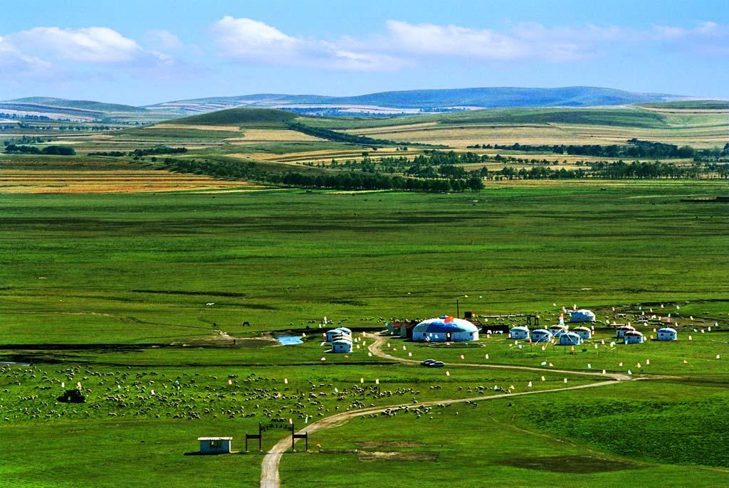 1772701861978_51RwwerJ