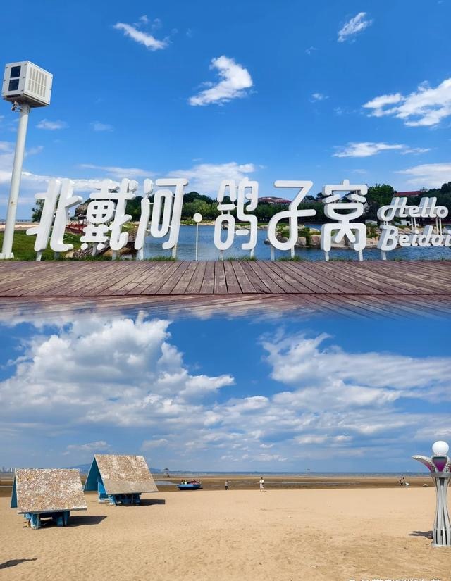 1772701861991_0PD6PD2