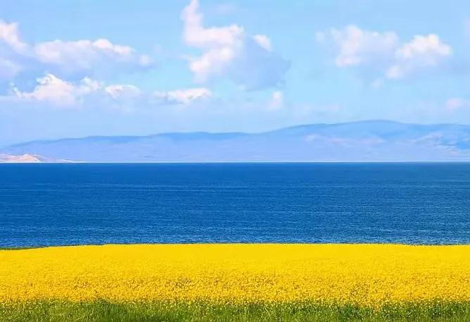 1773132595884_225Z8BmH