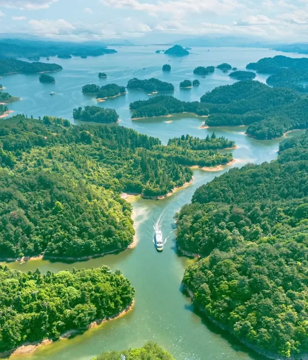 179677cff2a33dea9bf8b51da9fef723-sz_3680955