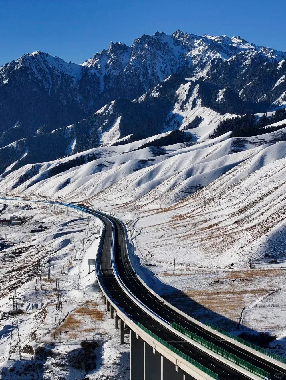 17fce9944354f62af5301c213dc8425b-sz_2555829-1