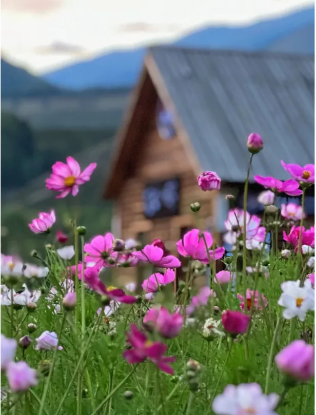 186d3a97fd5dc133971f43102c46defa-sz_731013