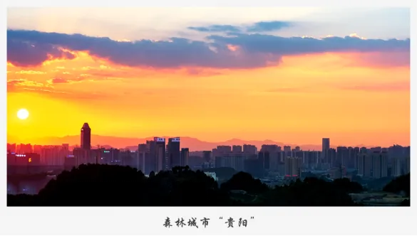 18779e5f593d1bdecf4d44da07a85fcd-sz_778544-1 18779e5f593d1bdecf4d44da07a85fcd-sz_778544-1