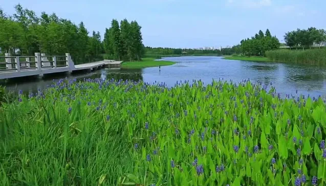 18800024324b43befcb58cdd2a70ed28-sz_617077