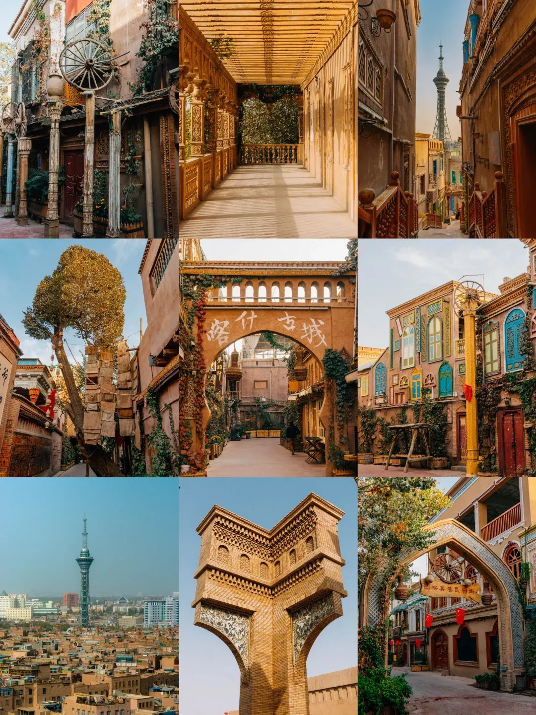 1883bd6c82b48d83da43da017ecbd290-sz_3019365