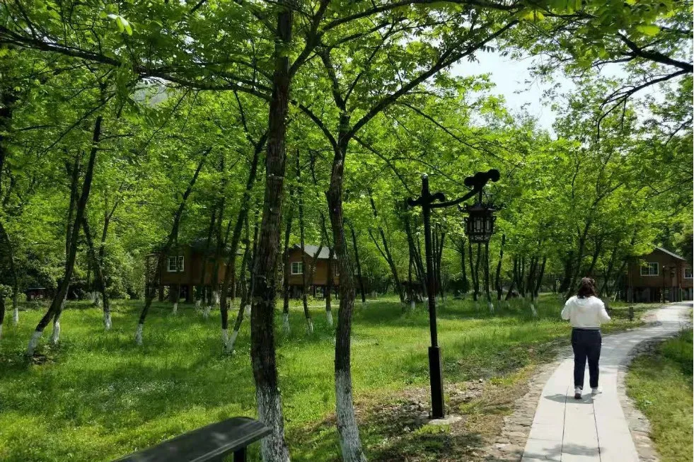 18afa0d8aed0a93d57eb9457d9190c84-sz_343278