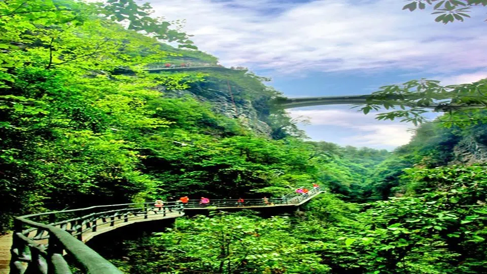 18dcfca4d3801dfd25c27a00cabceb64-sz_147636