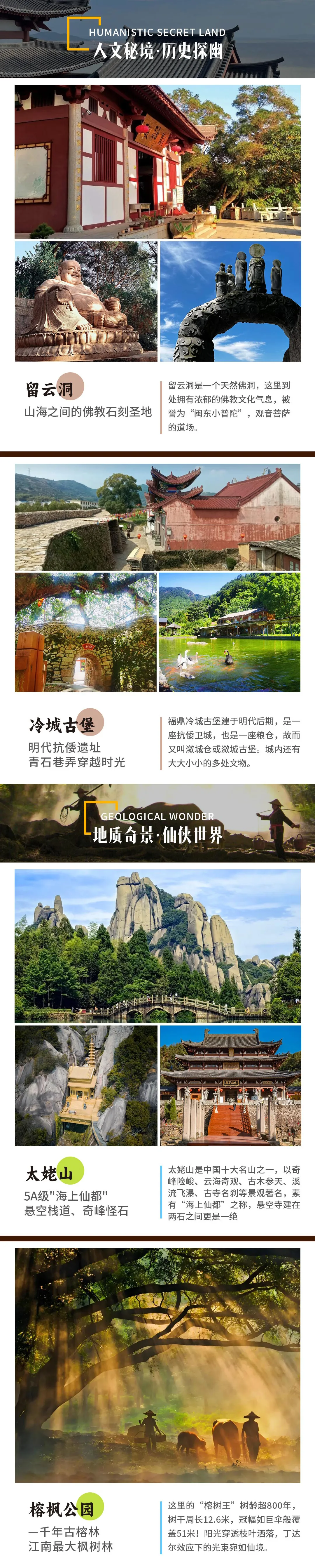 1910394896e17ff6d5aeda9d72409a9c-sz_2113349