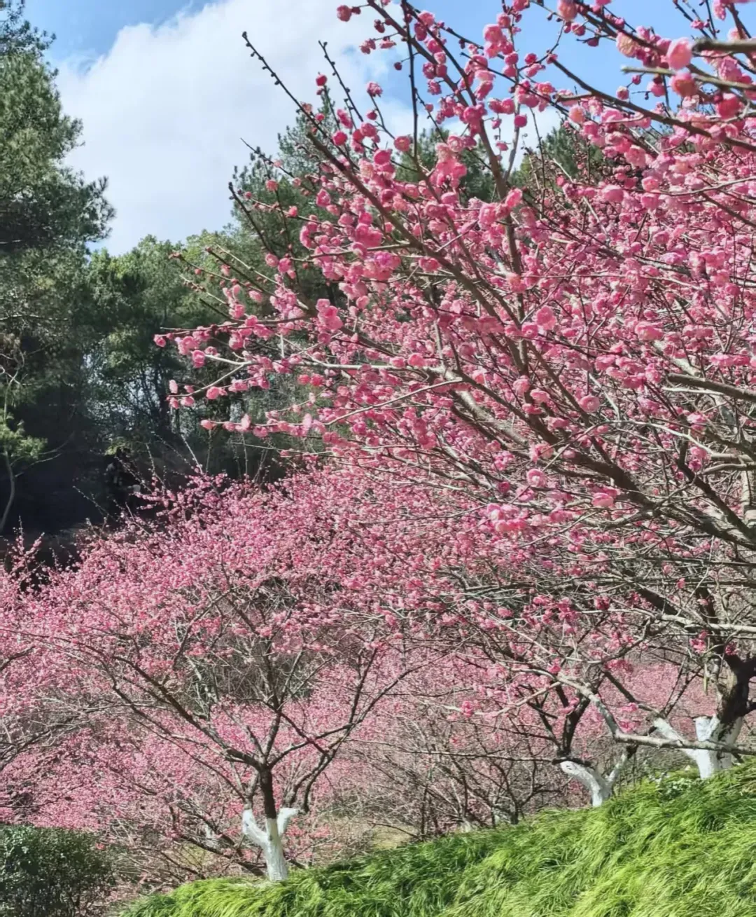 191739590382eaf491a6dd2078c827bb-sz_2791470