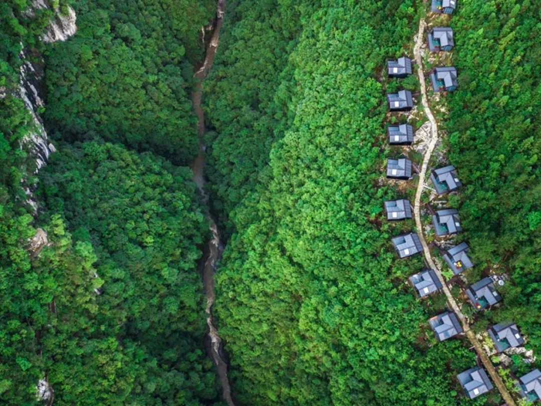 19677d8fcdae27193d47810dea10ee58-sz_438977