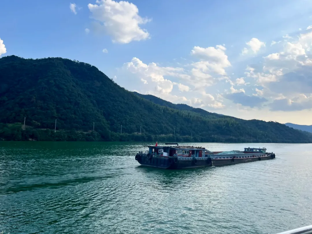 1967d6561dce3580ea953560f7e0f705-sz_1467191