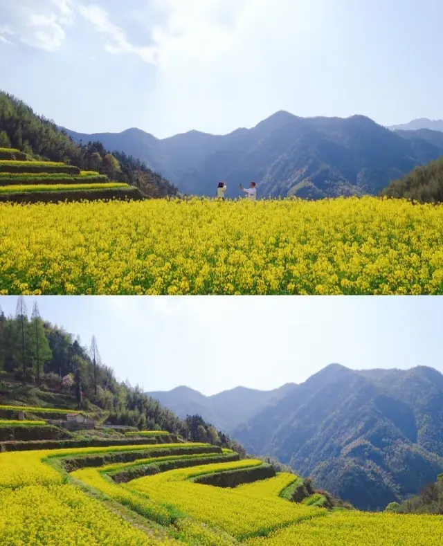 199dba81547f606a487df002d0731f04-sz_623706