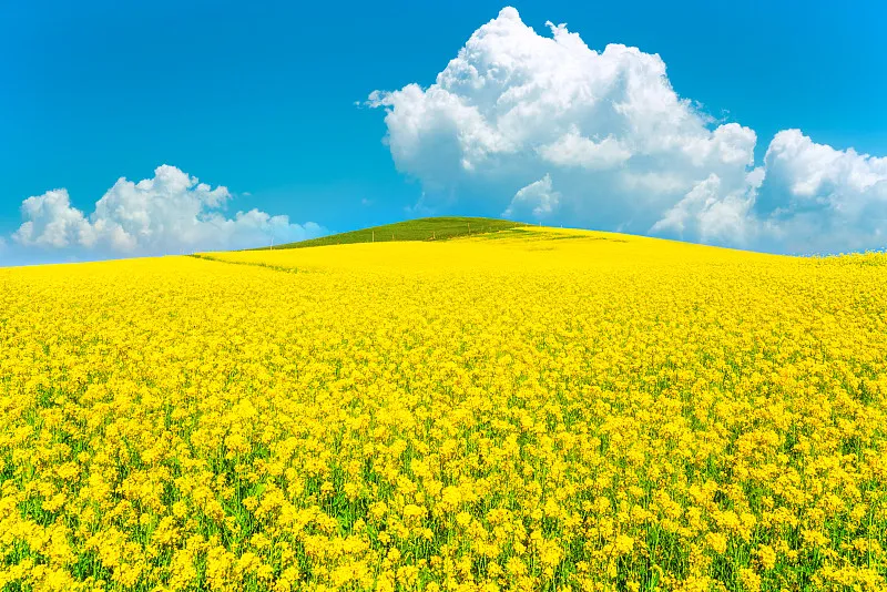 19c0efe1c9ceeea1fbad6c8b992c8cc9-sz_325499