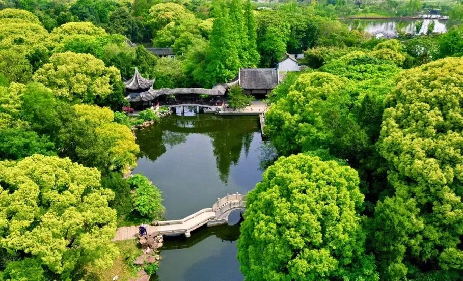 1a204798e98a05c08053ebb8acd2e3ce-sz_175260