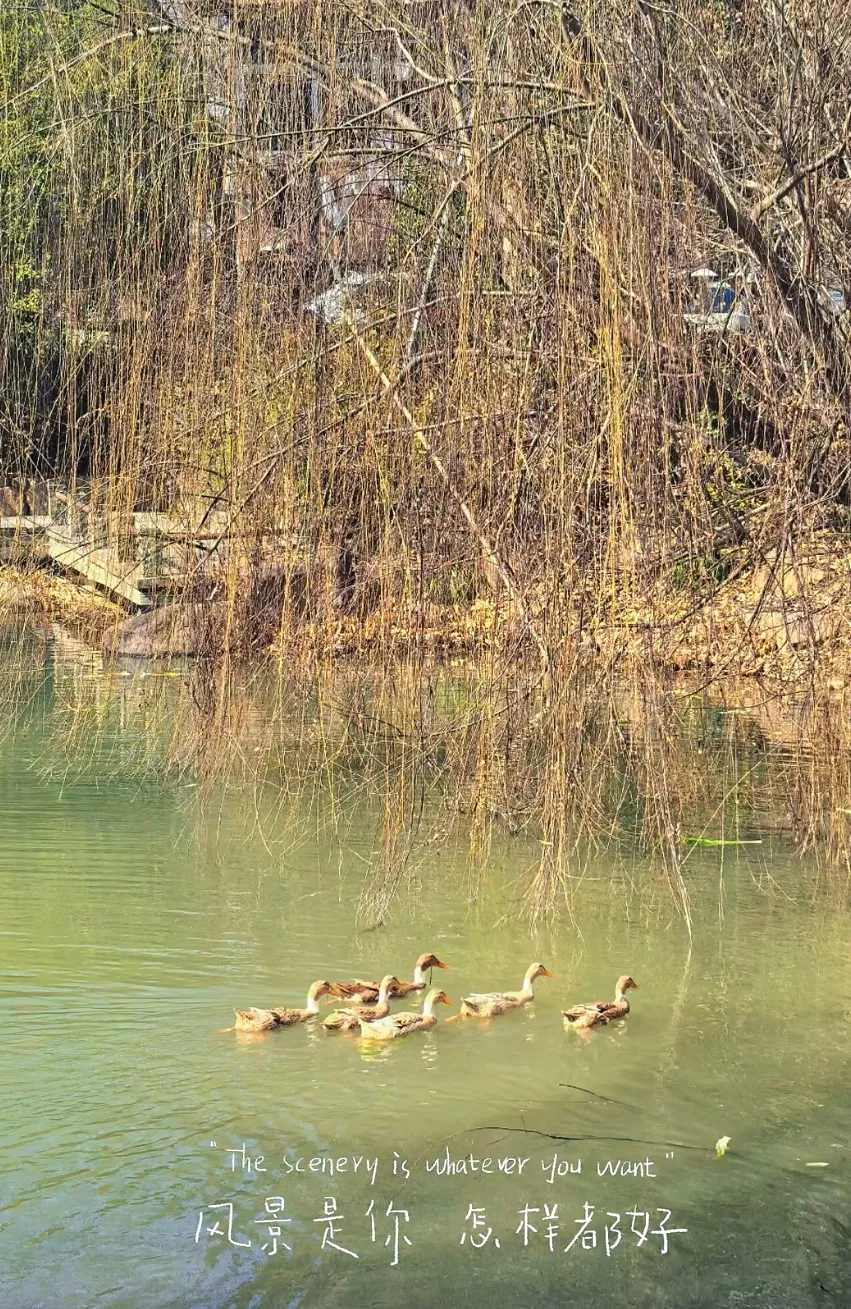 1b1f4770bdd79a3a87c61f802b8eb8f9-sz_1126277