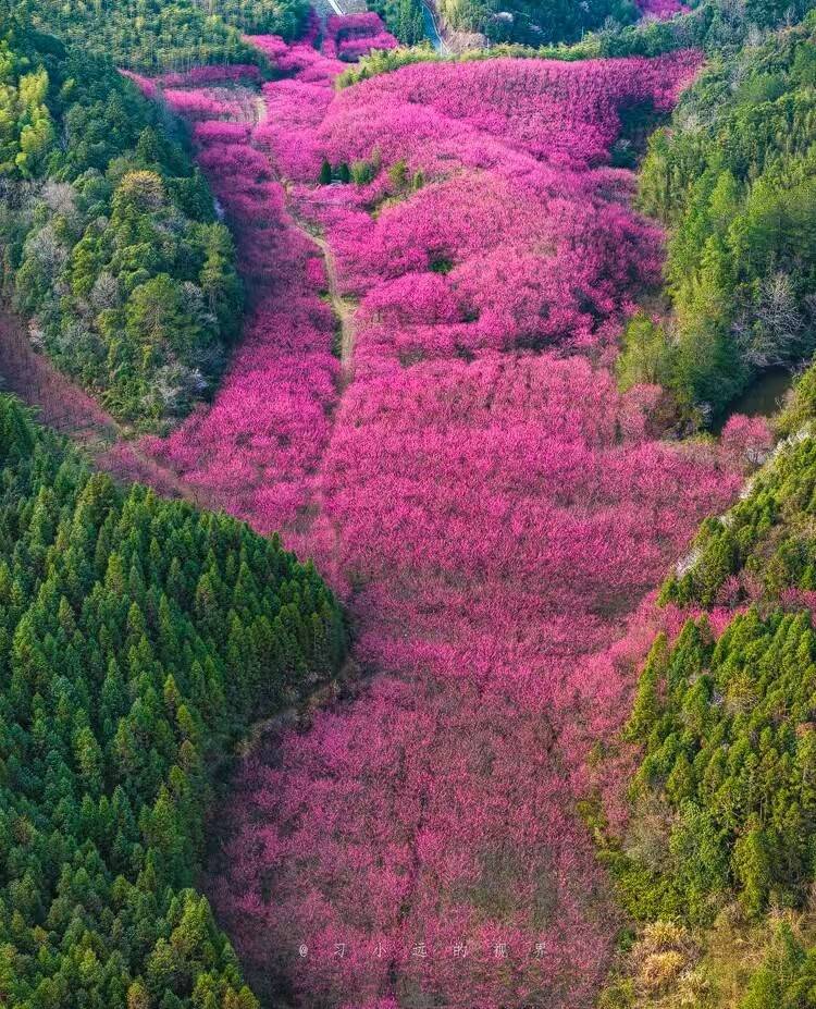 1ba65b9c18eefb65dca21a6d207dc7ca-sz_828318