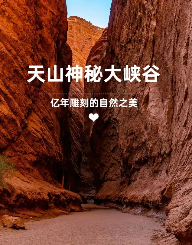 1c024111e52896bd1c81222ff2634938-sz_1419921