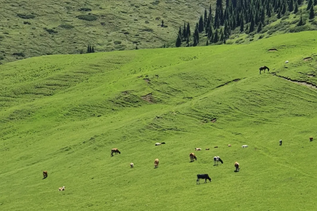 1c5104e0eb87cab1436e461795bba4fa-sz_878752