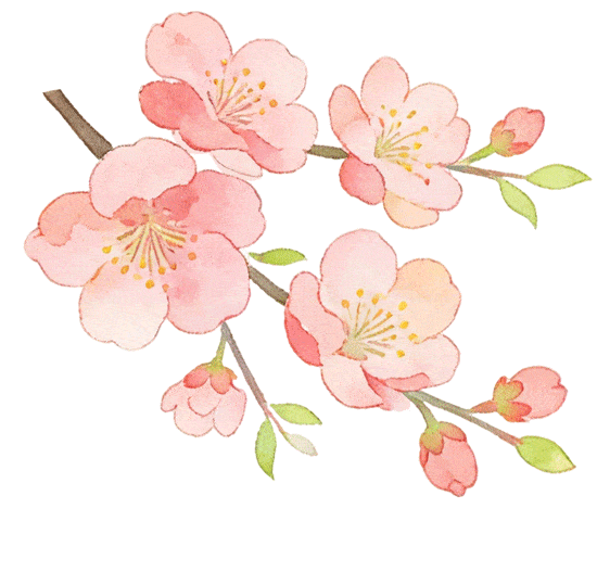 1c610f77b89d4cada487595e4f000b4b-sz_3788867