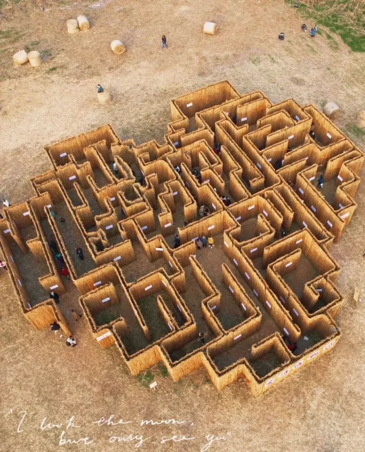 1c783ccc58ae4a4cbe5aef2f6ca02dfc-sz_1231092