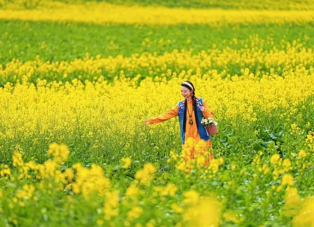 1cb88e3ee74fa062127e18543587f7a9-sz_163510