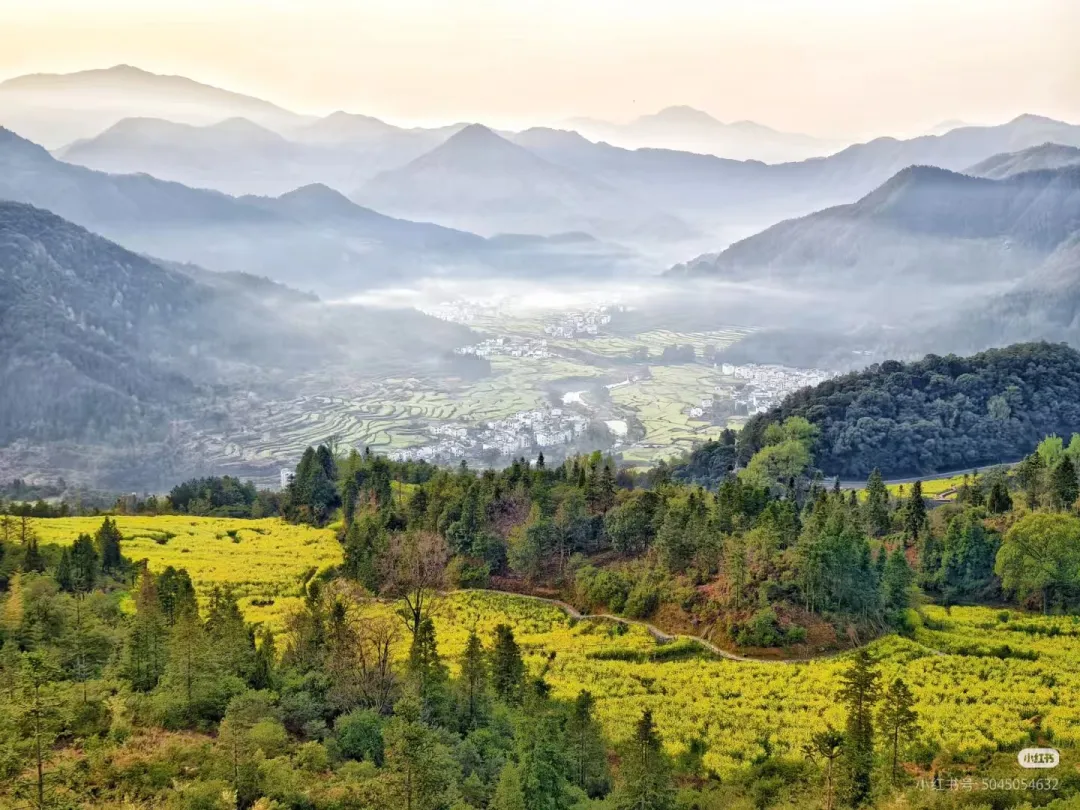 1d653f1b06b68274e83a8dd9d38d580b-sz_1067816